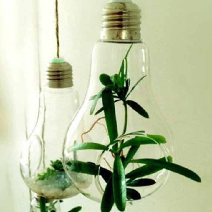 Skanto | Hengende Glass Lyspære Lampe Form Blomst Vannplante