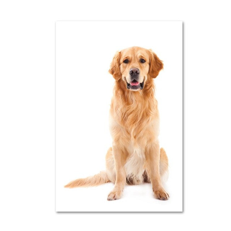 Moderne hundeposter og -trykk – lerretbilder