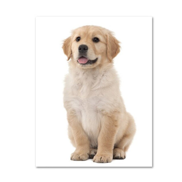 Moderne hundeposter og -trykk – lerretbilder