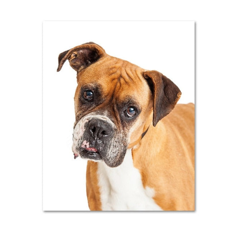 Moderne hundeposter og -trykk – lerretbilder