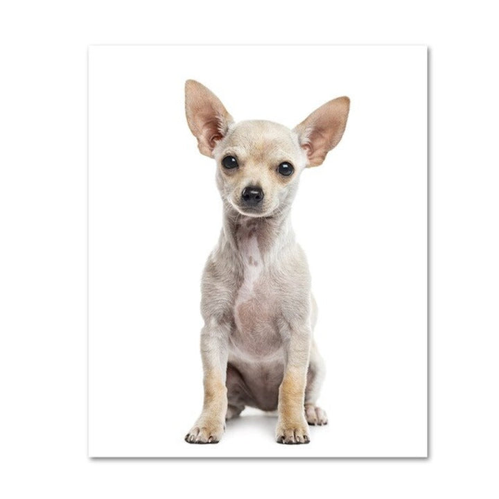 Moderne hundeposter og -trykk – lerretbilder