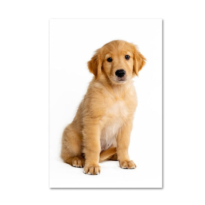 Moderne hundeposter og -trykk – lerretbilder