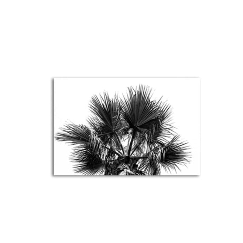 Moderne palme- og kokosnøttetre trykk svart - lerretbilde