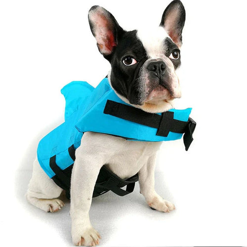 Sikkert svømmemoro for hunden din – SwimBuddy redningsvest Skanto