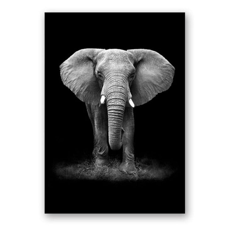 Skanto | Natur Ville Dyr Afrika Wildlife Svart Hvit - Lerretsveggkunst Maleri