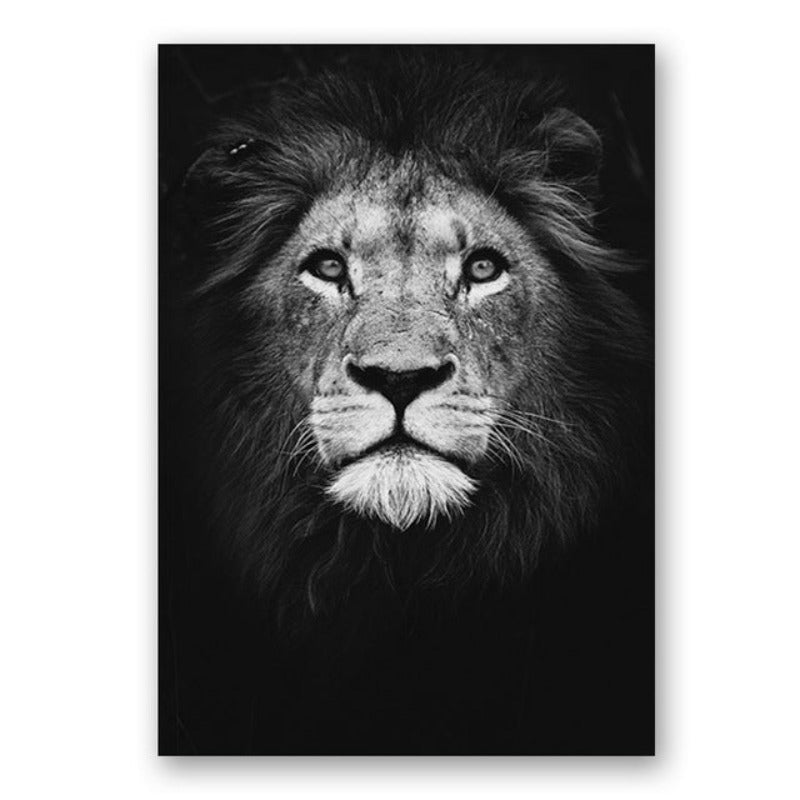 Skanto | Natur Ville Dyr Afrika Wildlife Svart Hvit - Lerretsveggkunst Maleri