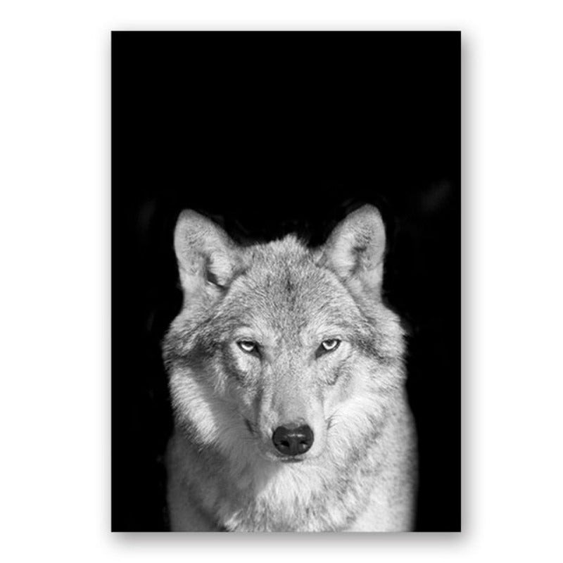 Skanto | Natur Ville Dyr Afrika Wildlife Svart Hvit - Lerretsveggkunst Maleri