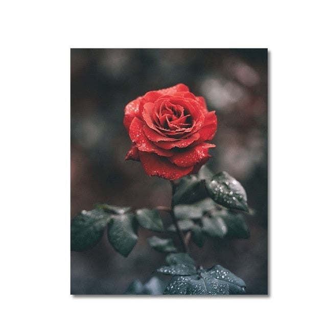 Skandinaviske plakater, rosemotiver, livssitat, minimalistisk – lerretbilde