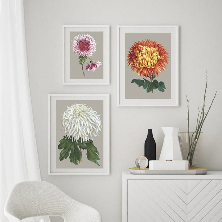 Vakkert chrysantemum blomsterbilde – lerretsbilde