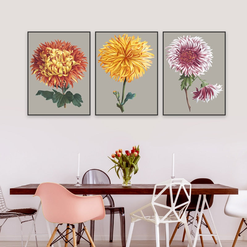 Vakkert chrysantemum blomsterbilde – lerretsbilde