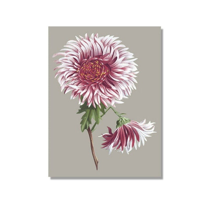 Vakkert chrysantemum blomsterbilde – lerretsbilde