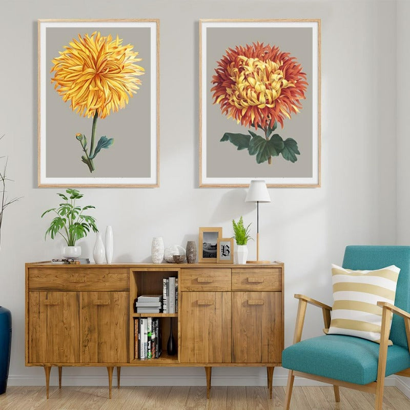 Vakkert chrysantemum blomsterbilde – lerretsbilde