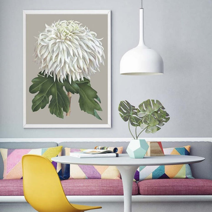 Vakkert chrysantemum blomsterbilde – lerretsbilde