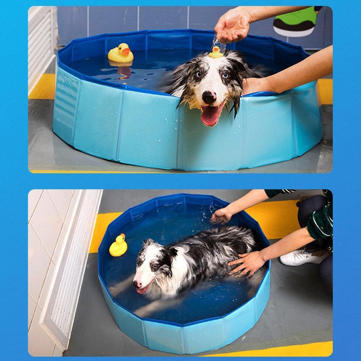 Bærbar Paw Pool | Skanto