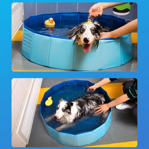 Bærbar Paw Pool | Skanto