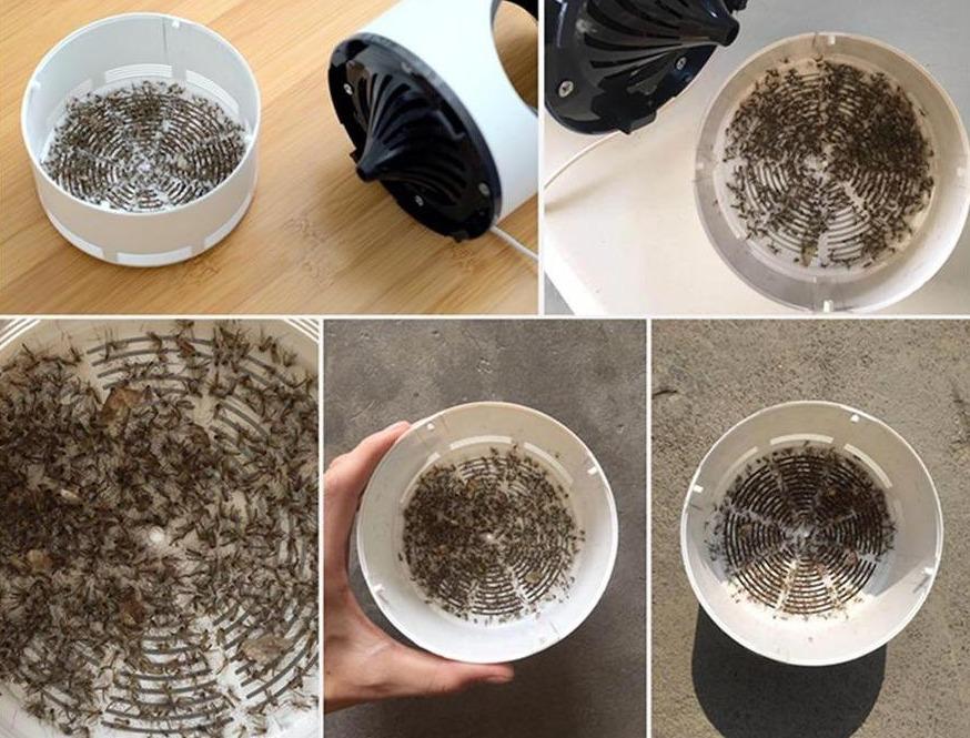 Norvo | Kjemikaliefrie myggbeskyttelse