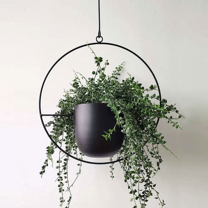 Wandhengender Pflanzenhalter aus Metall – FloraFrame