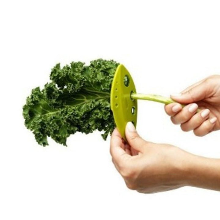 Kale & Herb Stripper | Skanto