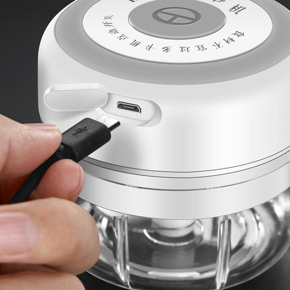 Mini Electric Food Chopper | Skanto