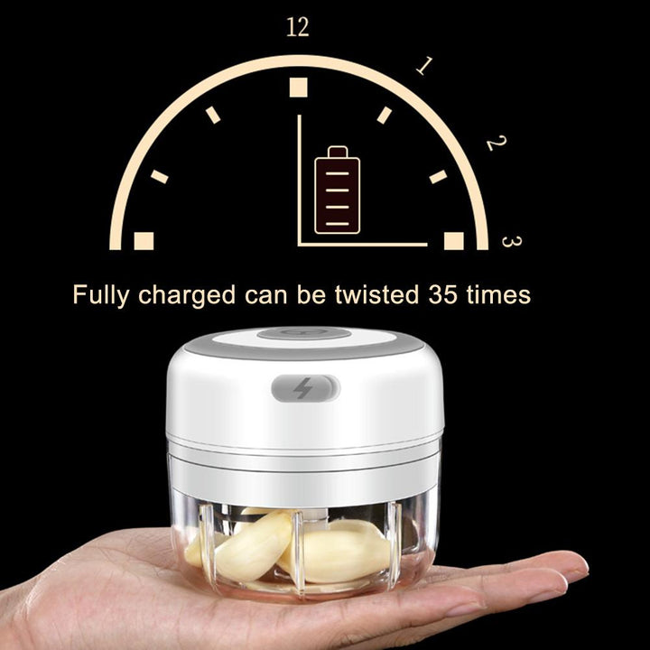 Mini Electric Food Chopper | Skanto