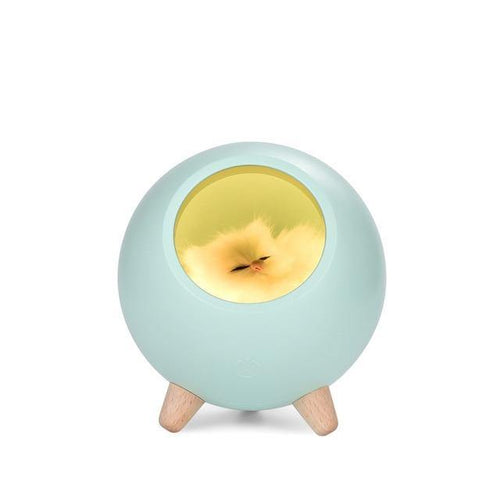 Søt kjæledyrhus USB LED nattlampe | Skanto