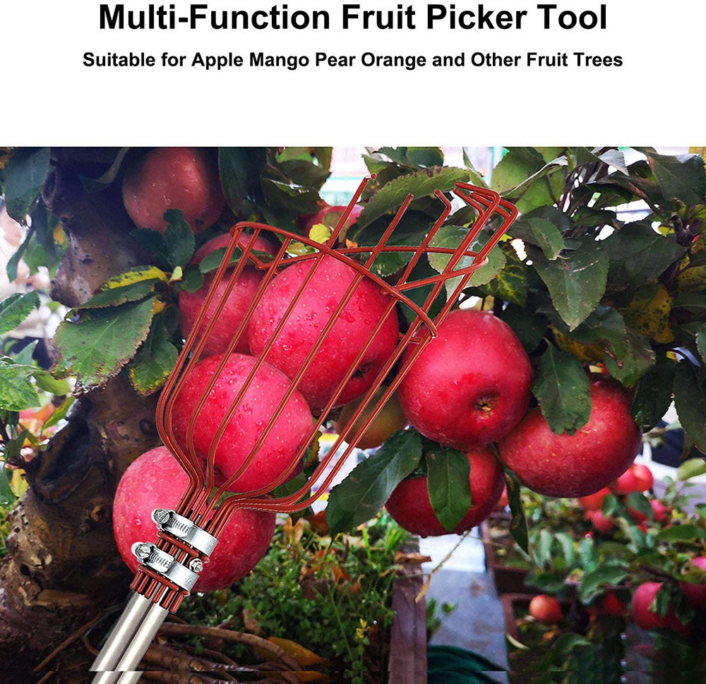 High Branch Fruit Picker | Skanto