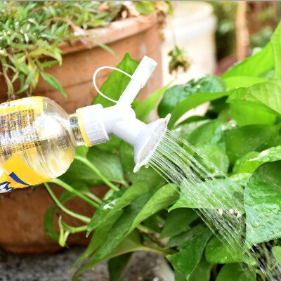 2In1 Flaske Vann Spray | Skanto