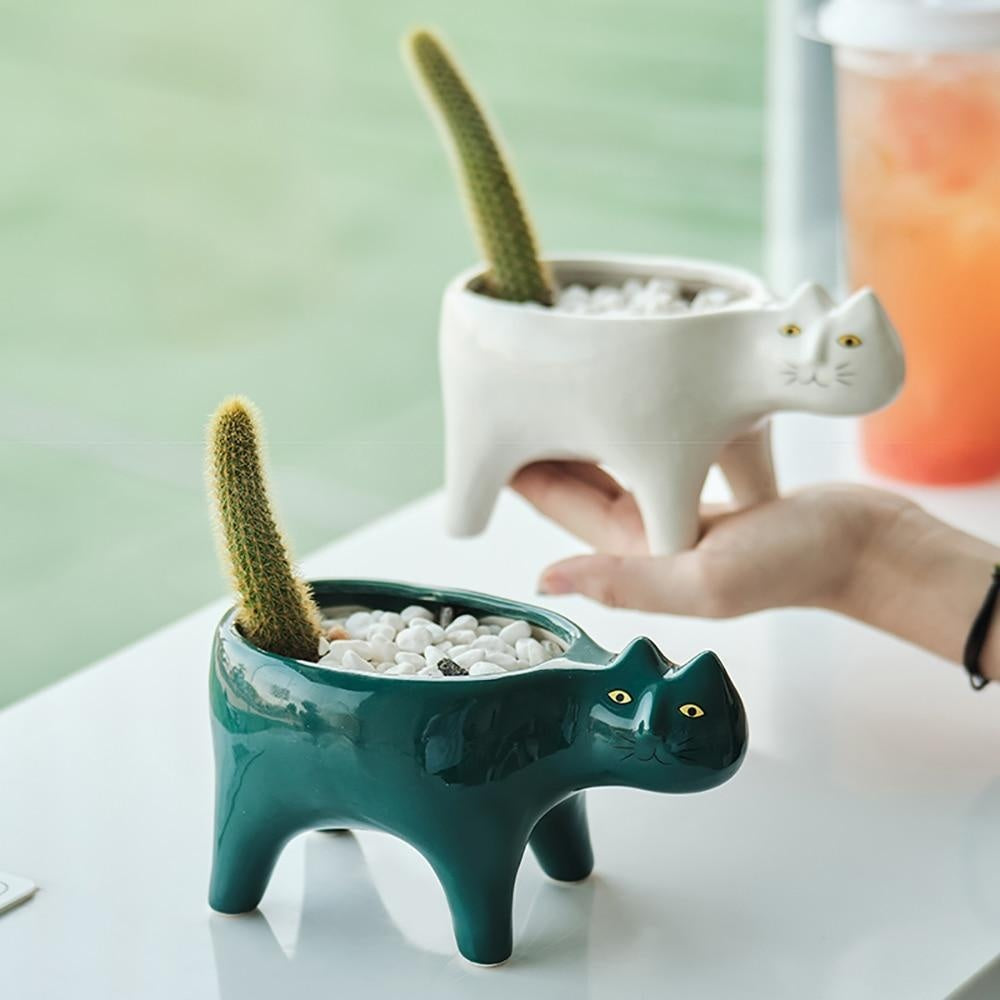 Kat Pot | Skanto