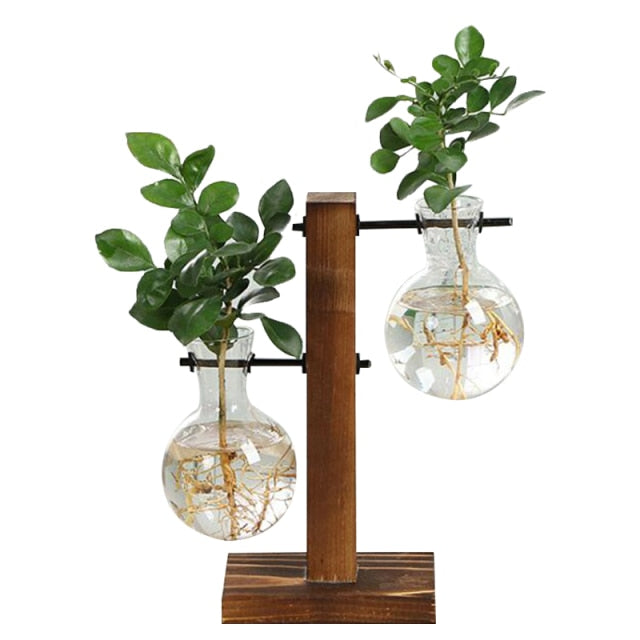 Skanto | Terrarium Hydroponisk Vintage Bordvase