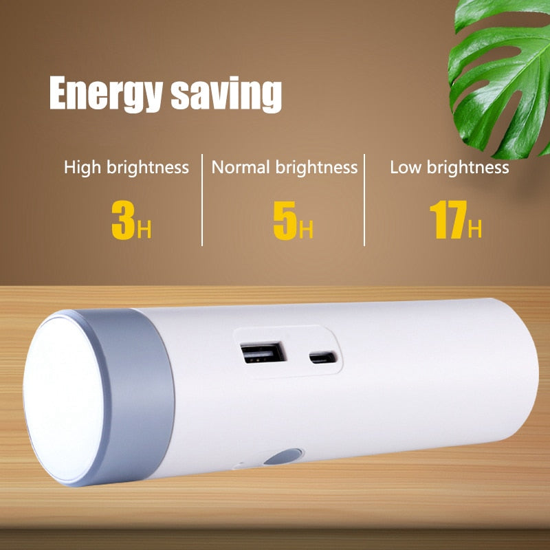 LED Mini RechargeaSkantoe Power Bank Skrivebordslampe | Skanto