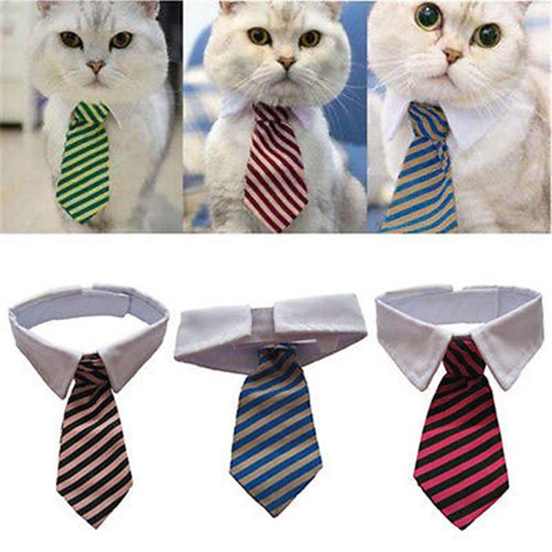 Sugar & Cotton's Famous Pet Neckties | Skanto