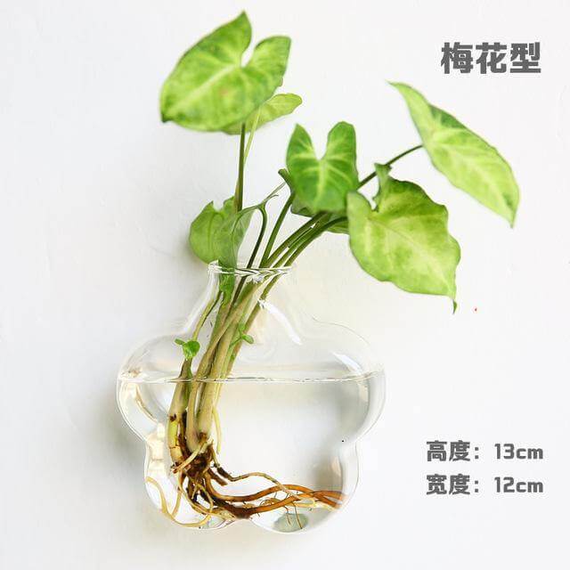 Skanto | Håndlaget Ny Hexagonal Vegg Klar Terrarium Vase