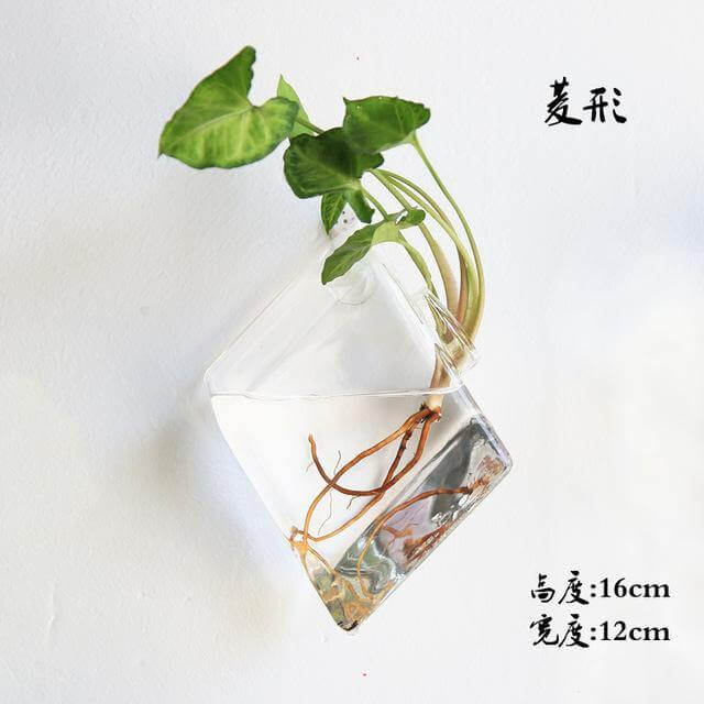 Skanto | Håndlaget Ny Hexagonal Vegg Klar Terrarium Vase