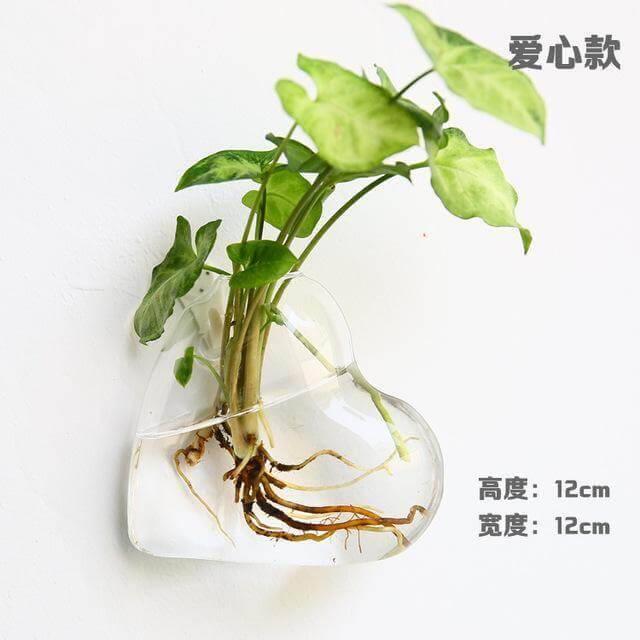 Skanto | Håndlaget Ny Hexagonal Vegg Klar Terrarium Vase