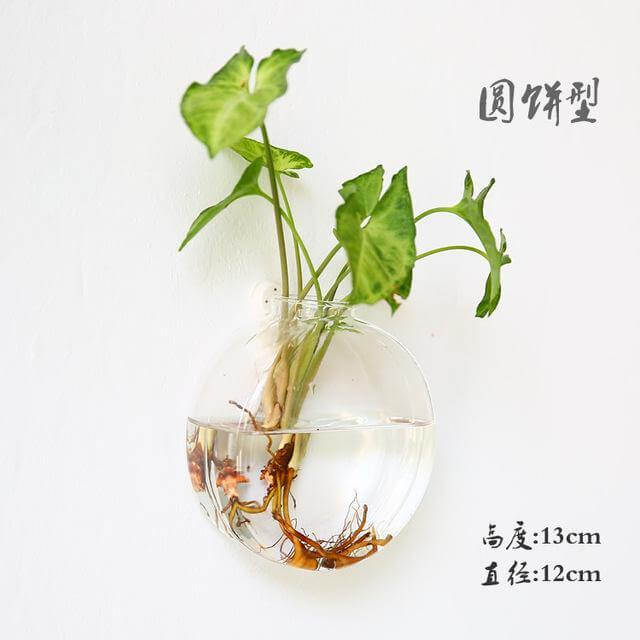 Skanto | Håndlaget Ny Hexagonal Vegg Klar Terrarium Vase