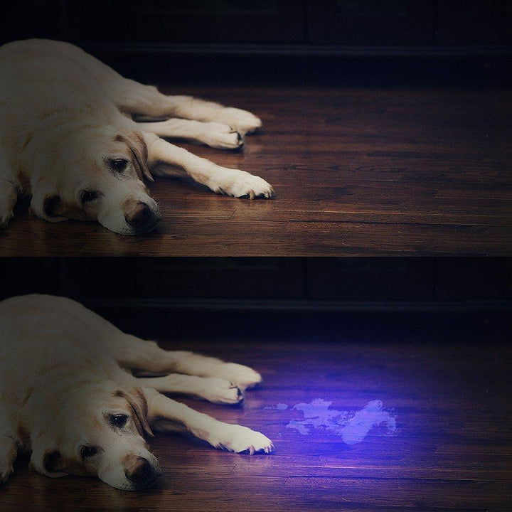 HiLight - LED UV Deteksjonslykt | Skanto