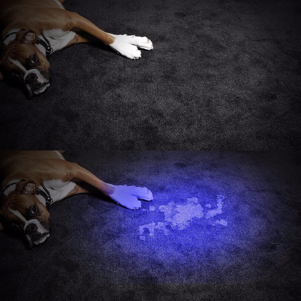HiLight - LED UV Deteksjonslykt | Skanto