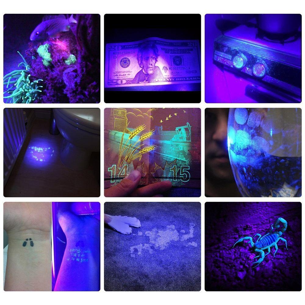 HiLight - LED UV Deteksjonslykt | Skanto