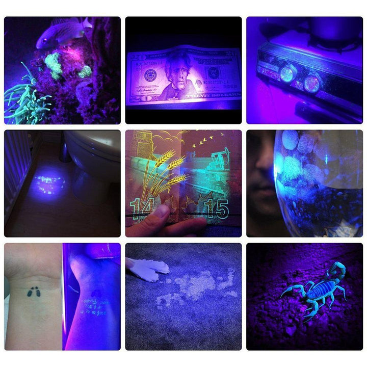HiLight - LED UV Deteksjonslykt | Skanto