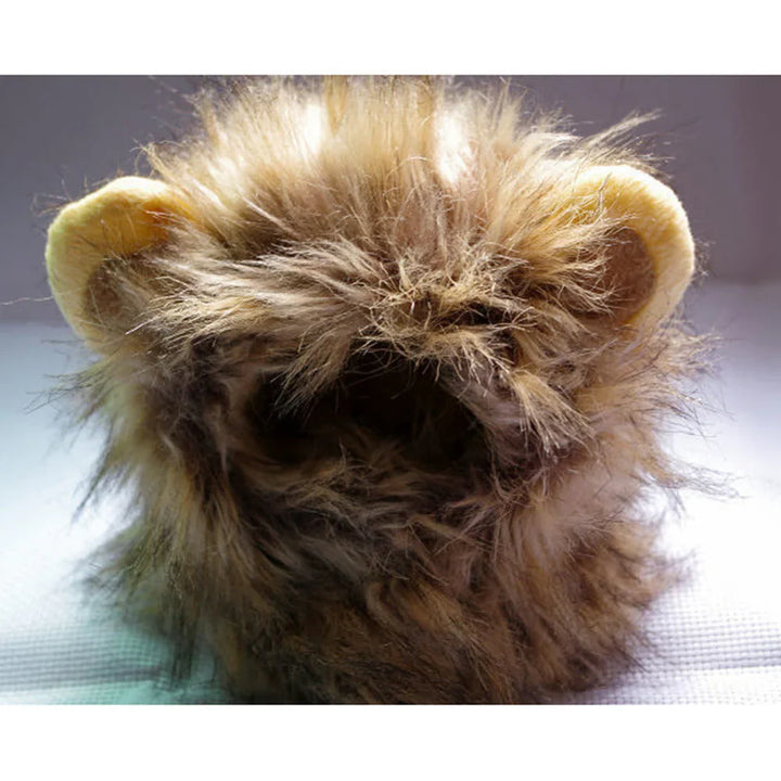 Royal Cat Mane – FelineKing Skanto