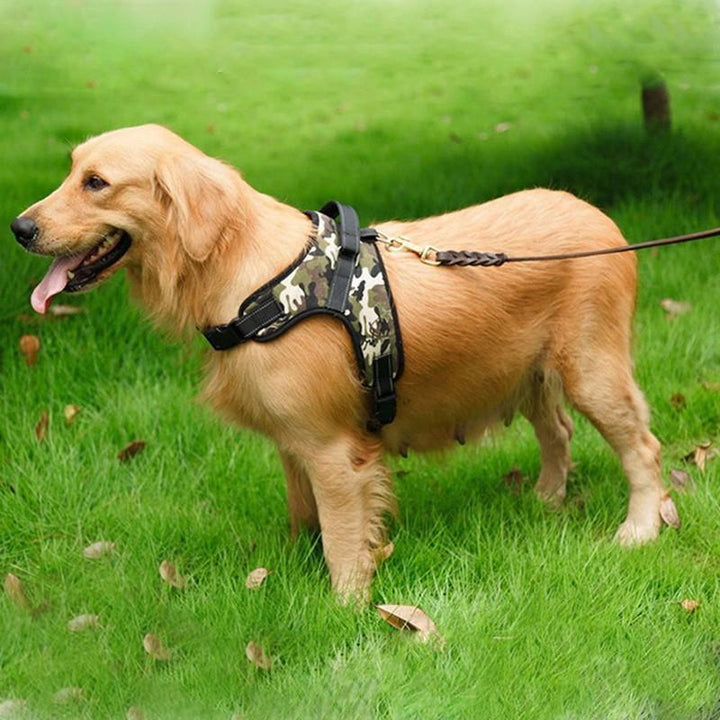 Justerbar Hundeforings sele | Skanto