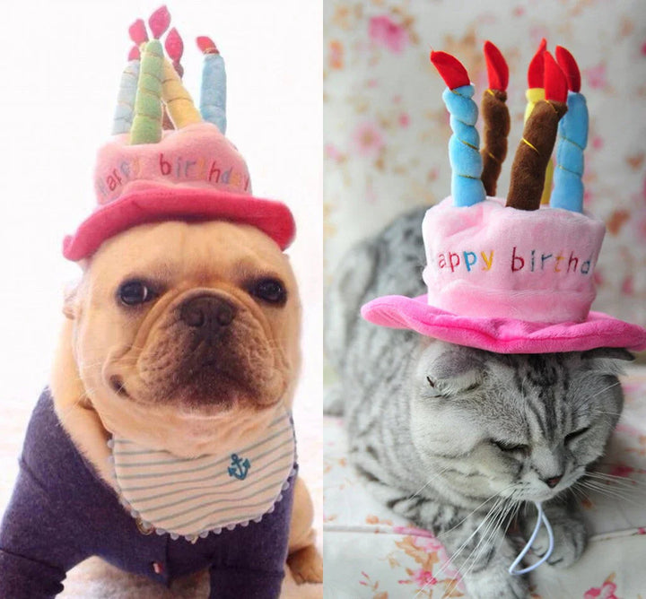 Pet Birthday Hat – PartyPaws Skanto