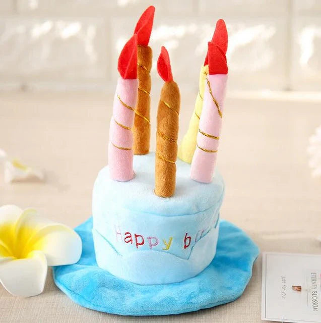 Pet Birthday Hat – PartyPaws Skanto