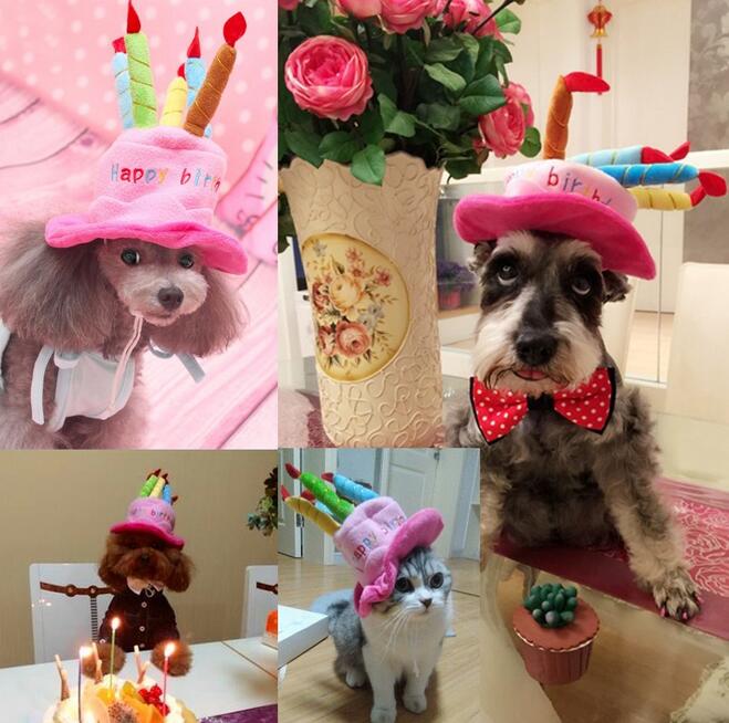 Pet Birthday Hat – PartyPaws Skanto