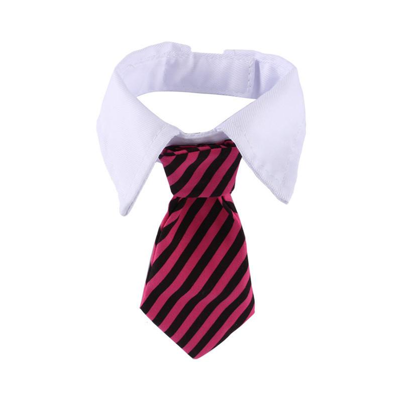 Sugar & Cotton's Famous Pet Neckties | Skanto