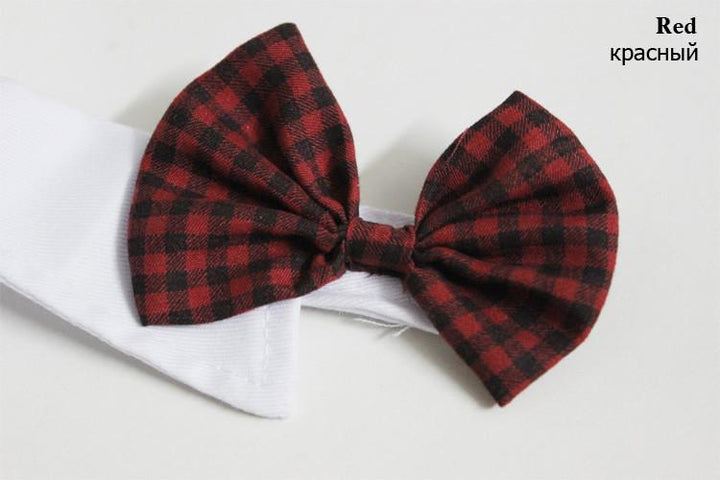 Dapper Pet Slips - For Katter & Hunder | Skanto