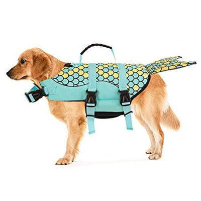 Skanto | Shark Doggie Svømmevest