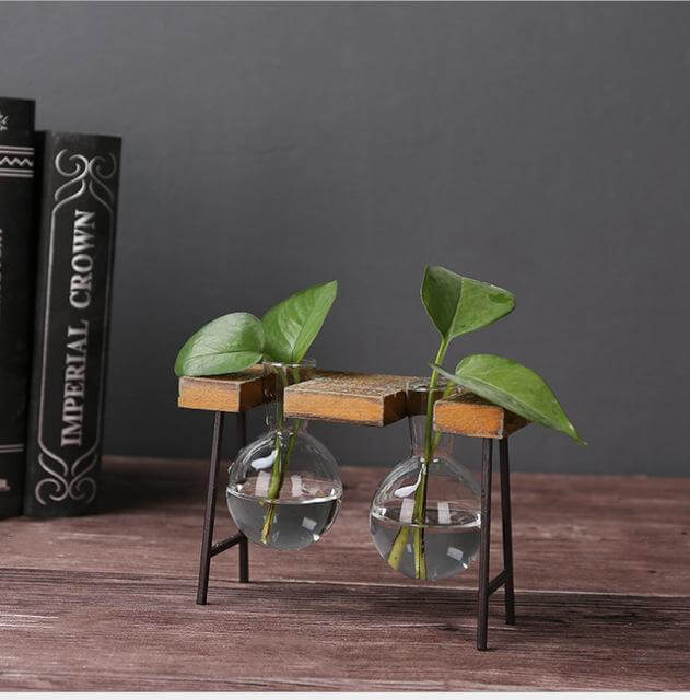 Skanto | Kreativ Hjemdekorasjon Hydroponisk Med Jernføtter Plantevase