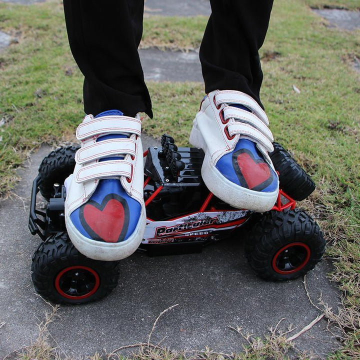 Skanto | Nr.1 salg 4X4 RC Rock Crawler 4WD dobbeltmotor terrengbil