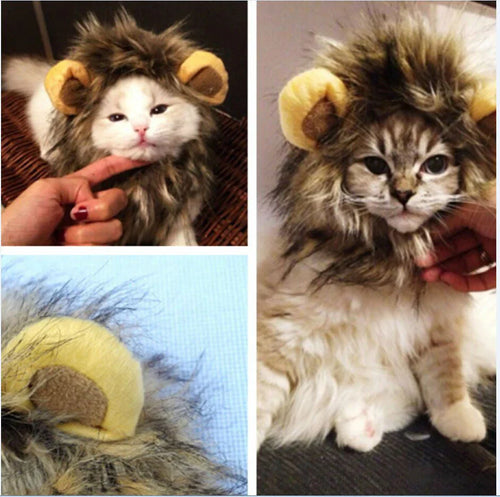 Royal Cat Mane – FelineKing Skanto